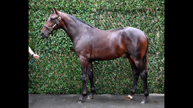 Lot 109
