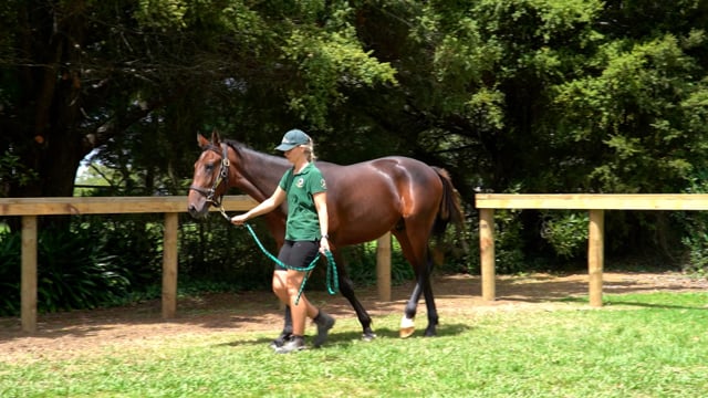 Lot 88
