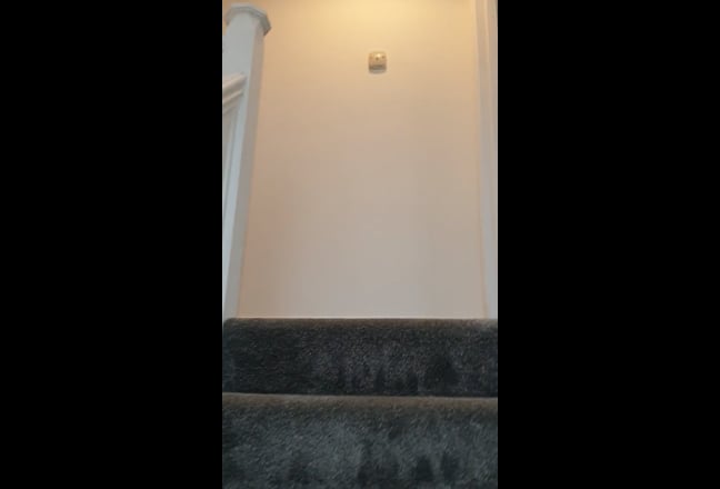 Spacious bright room all bills included Main Photo