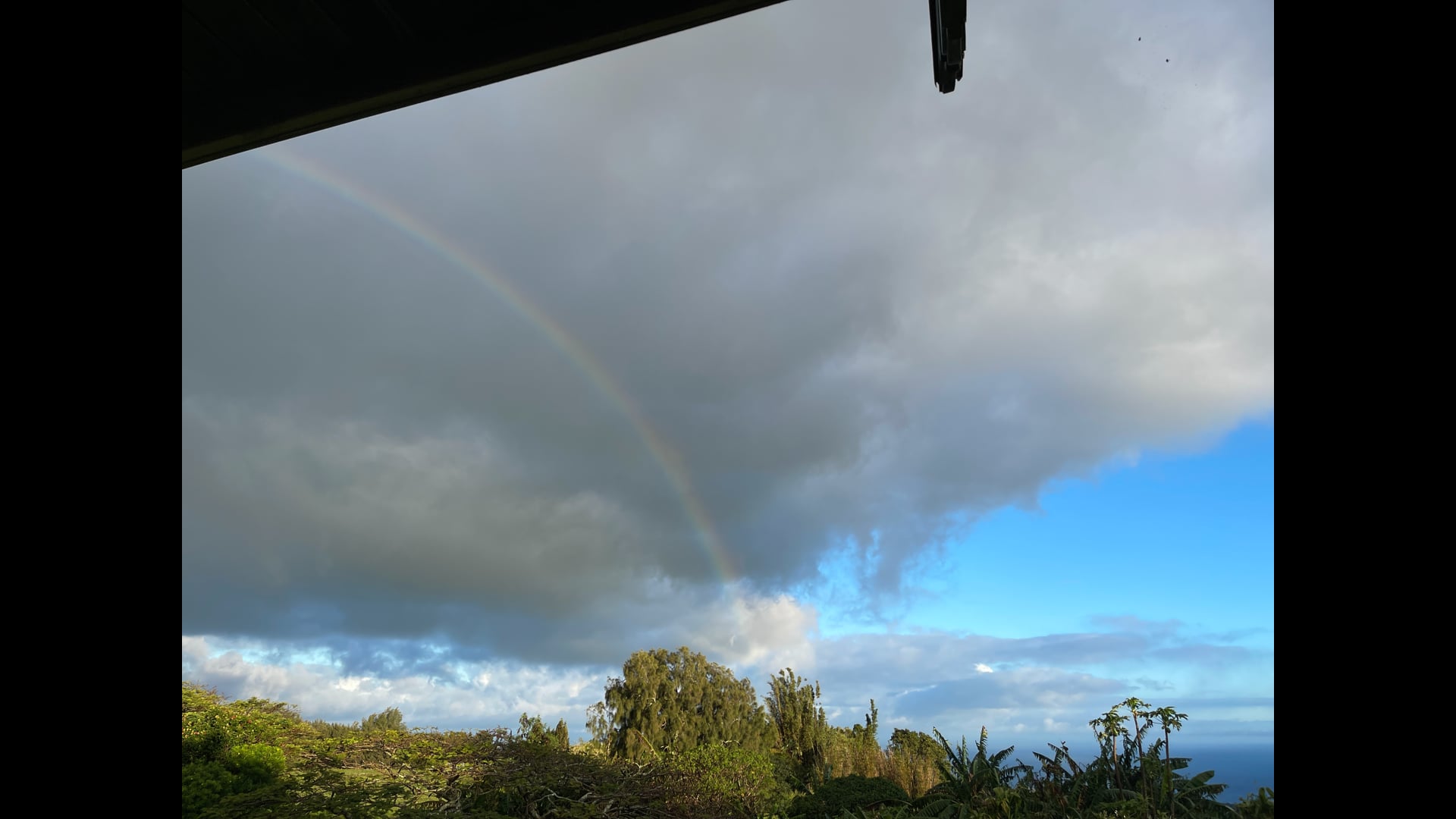 2026 January 21: The Five Remembrances: Weaving Us Back Into the Fold of Nature