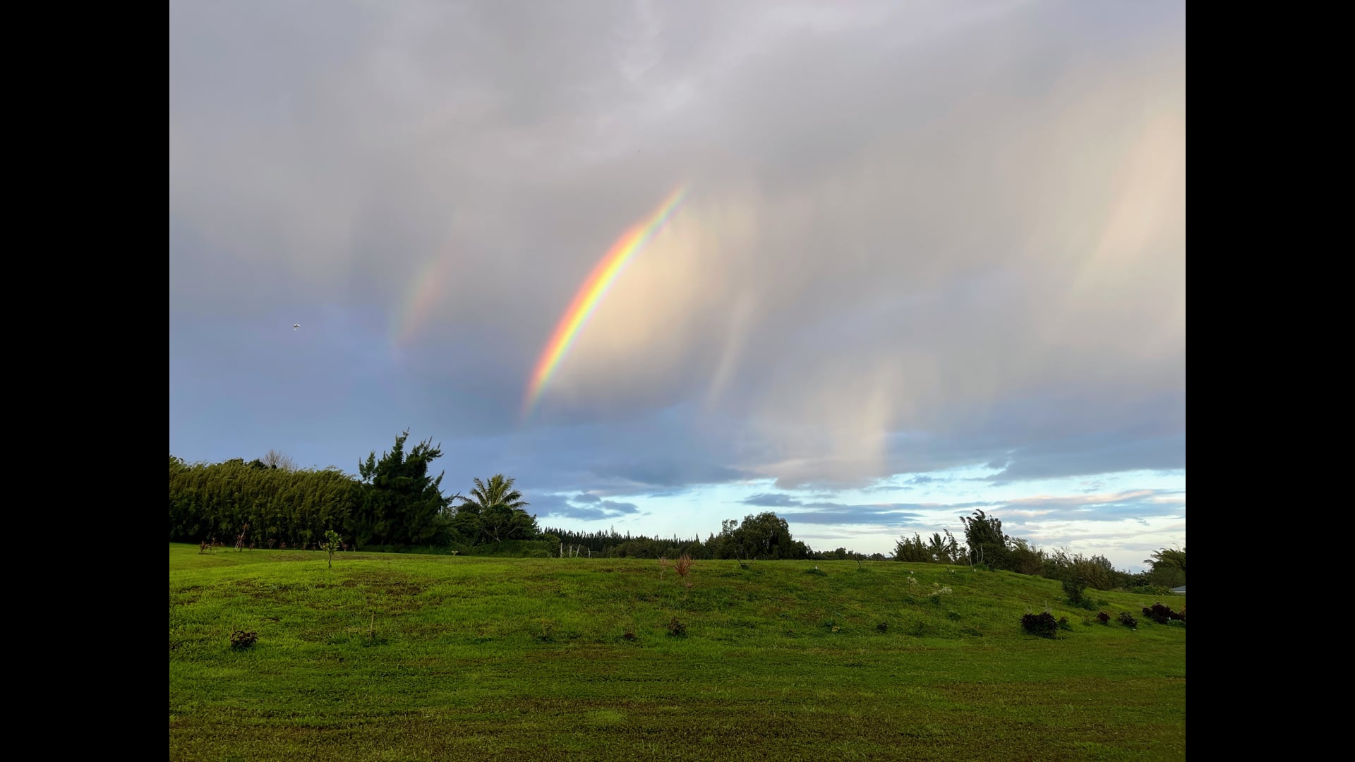 2026 January 12: The Five Remembrances: The Beginning.