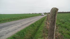 Ils mettent des paillettes dans nos vies