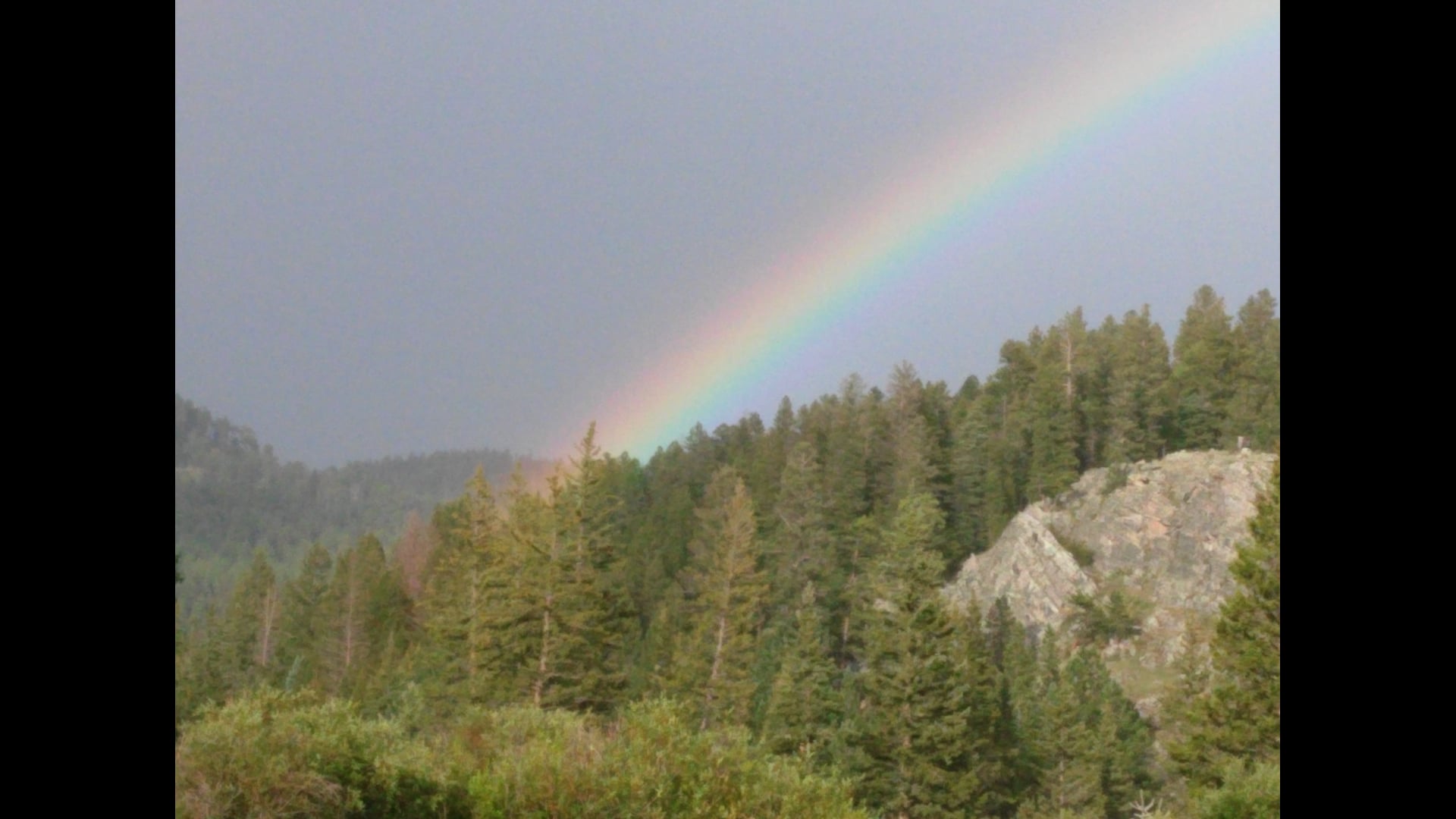 2026 January 07: The Holding Environment is a Portal to a Transformed Life