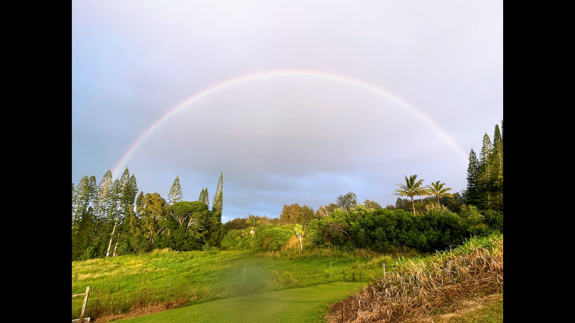 2026 January 05: What Helps Us Stay Calm and Grounded?