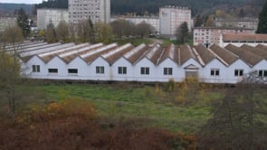 Les entreprises centenaires