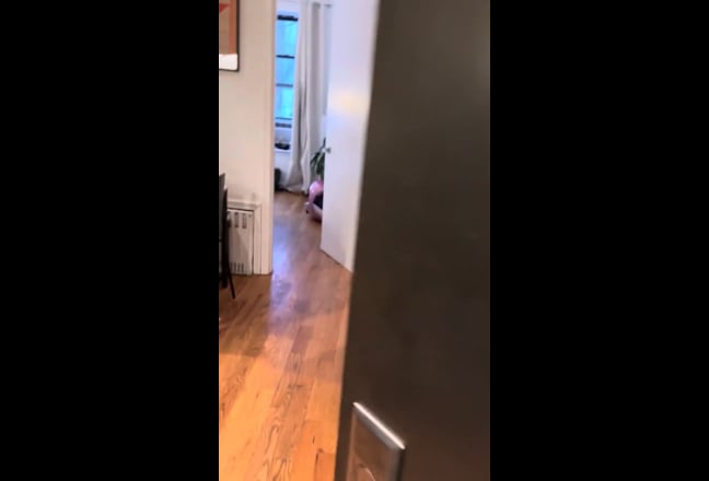 3rd Roomate needed for 3Bed 1Bath Apartment in BK Main Photo