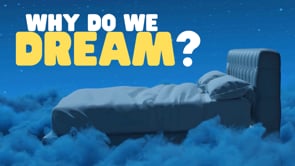 Why Do We Dream?