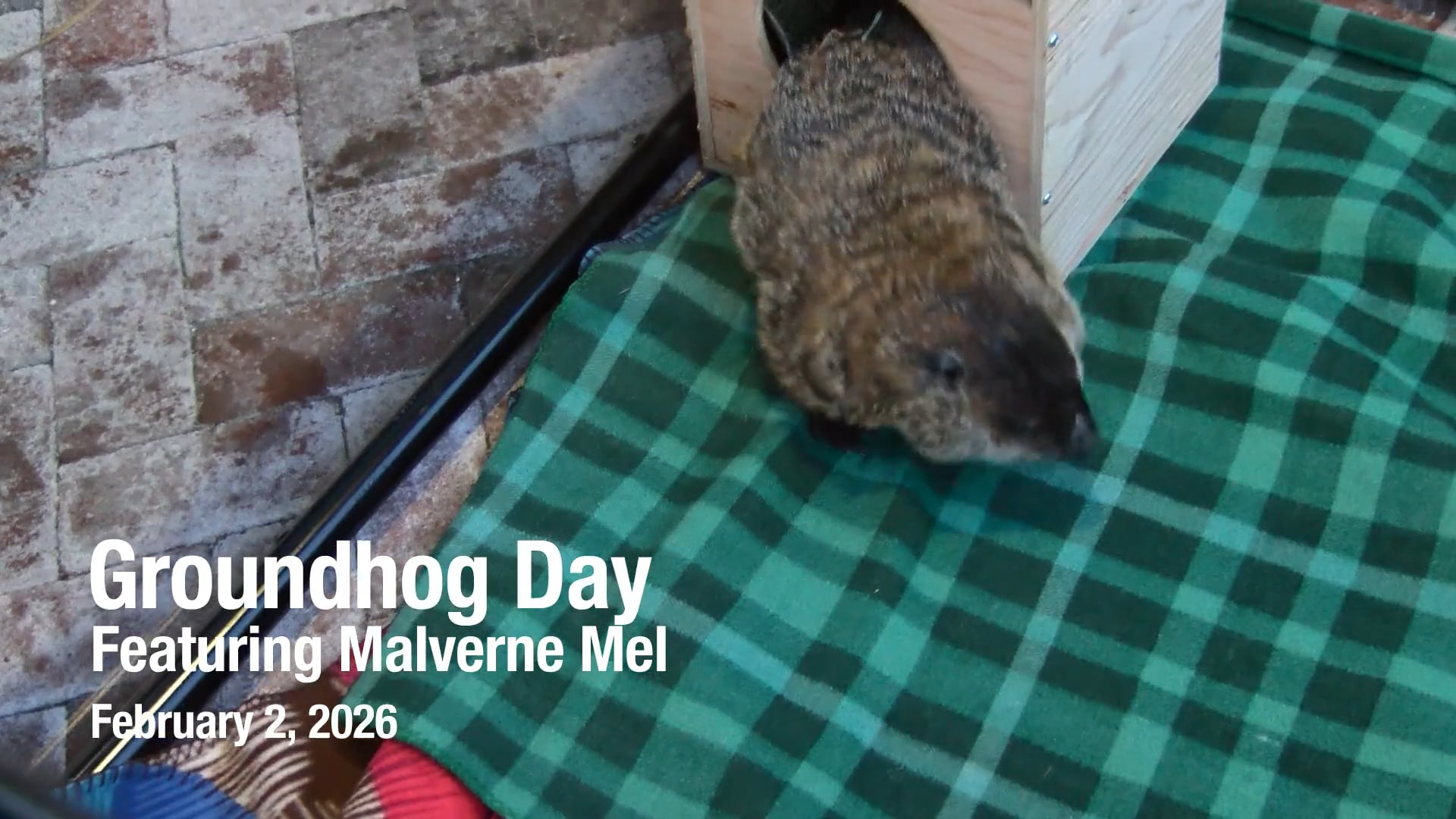 Groundhog Day Ft. Malverne Mel, 2026