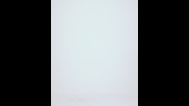 Cinto Eros | Eros Belt 