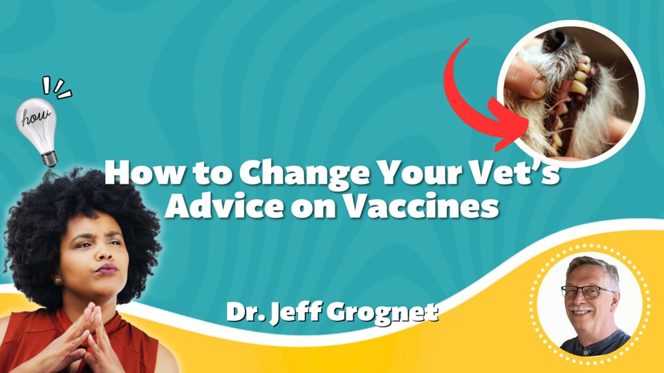 How to Change Your Vet’s Advice on Vaccines