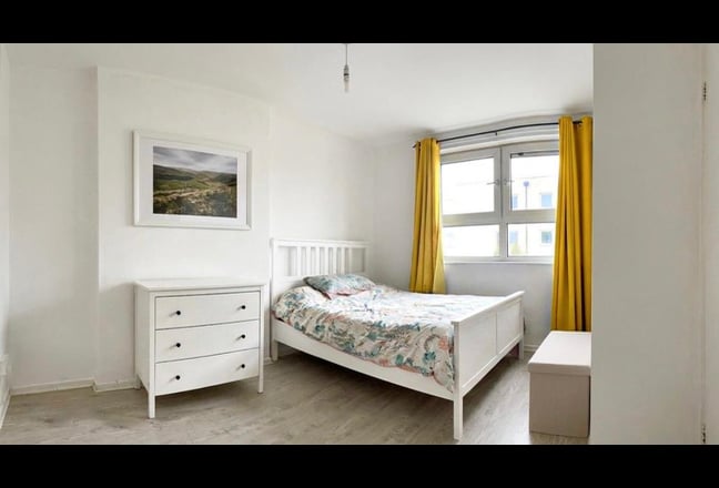 Double Room in Flat share in Mile End E3  Main Photo