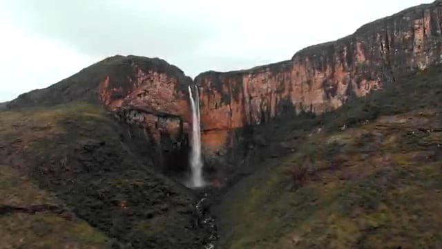 deVine Voices English with Native Transatlantic accent Male Voiceover Ecosia 'All In' Commercial