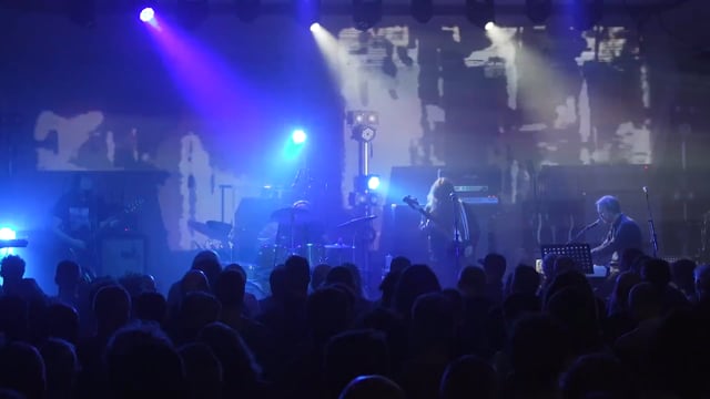 Three Frightened Monkeys