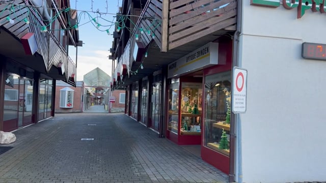 Cara Dog Attitude Savary et Annimon-Repas – click to open the video