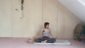 Related Embedded Video Item Thumbnail