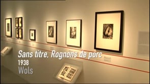 Vignette de la vidéo