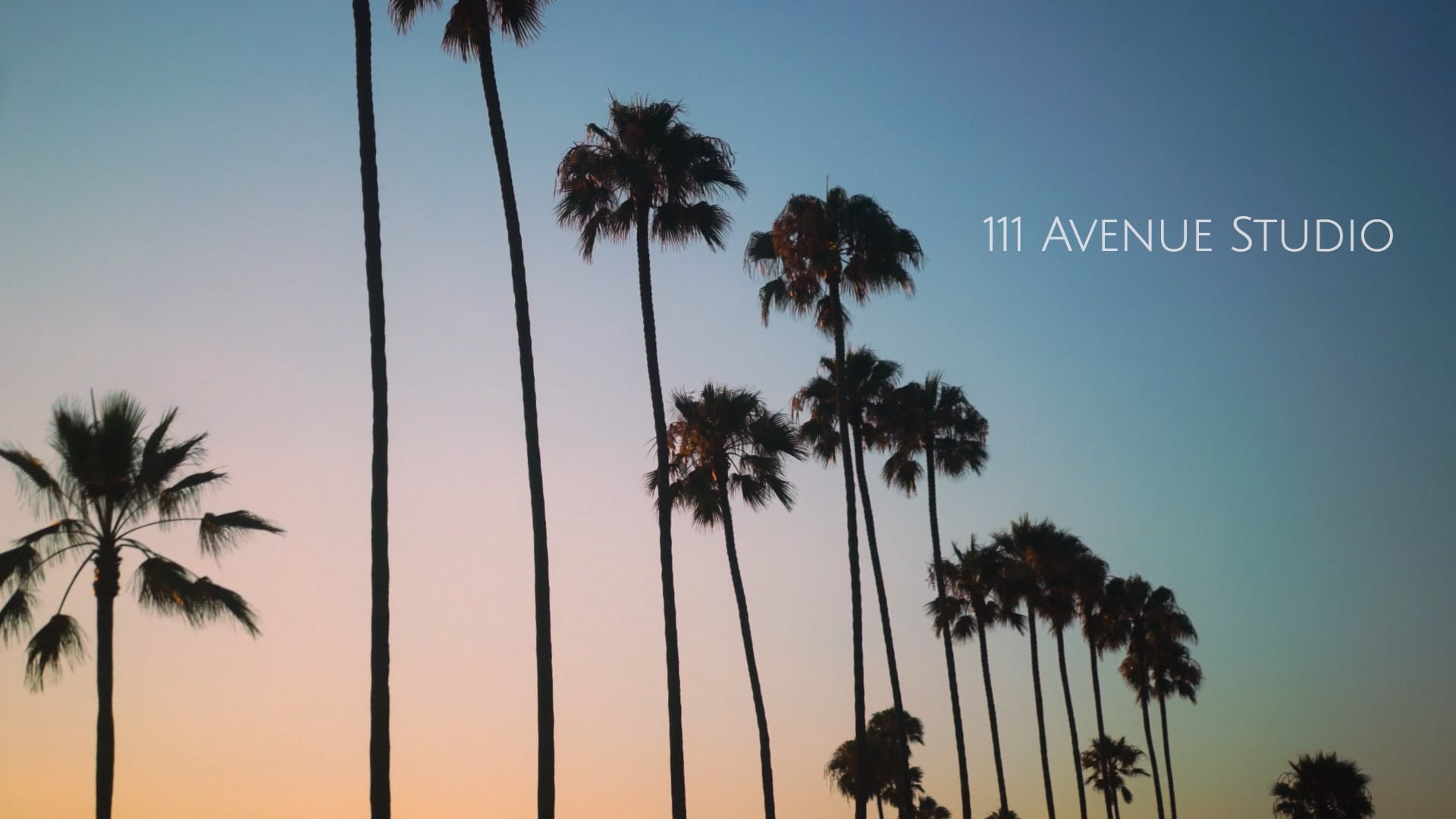 111 Avenue Studio Reel