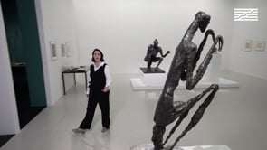 Vignette de la vidéo