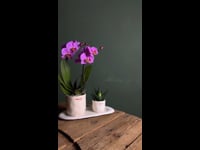 Gift Set Love Regalo