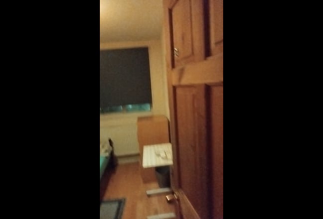 Sunny single room to rent Main Photo