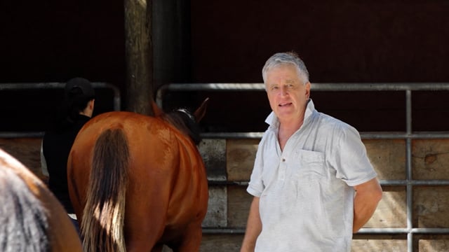 2026 National Yearling Sale | Rosedale Farm