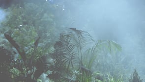 Vignette de la vidéo