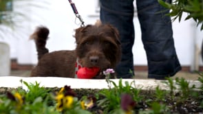 StreetVet | AHS Veterans: Richard