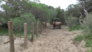 L'Ajuntament renova la passera de fusta del camí d'Empúries