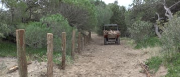 L'Ajuntament renova la passera de fusta del camí d'Empúries