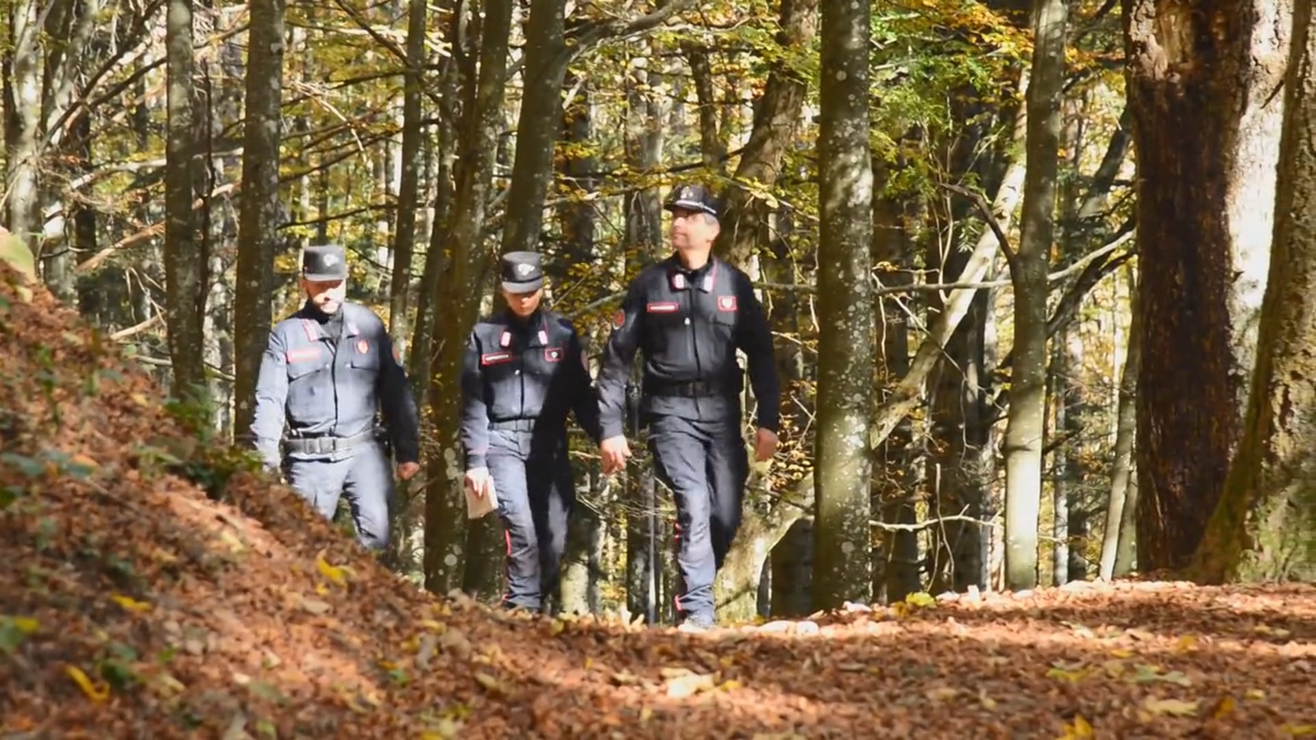 In aumento i controlli dei Carabinieri Forestale, nel Bolognese tanti incendi boschivi