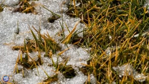 Secrets to Melting Snow/Ice