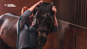 Related Embedded Video Item Thumbnail