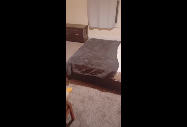 Large Sunny Double in Sheffield Main Photo