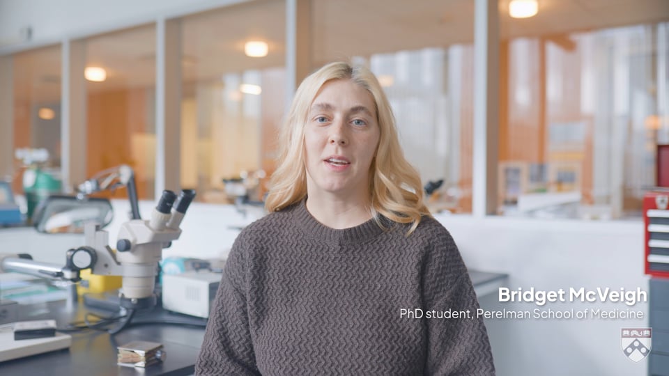 Watch video titled Lysosome - Bridget McVeigh on Vimeo