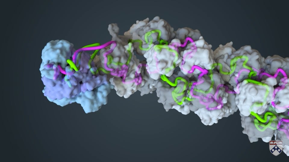 Watch video titled Influenza Animation on Vimeo