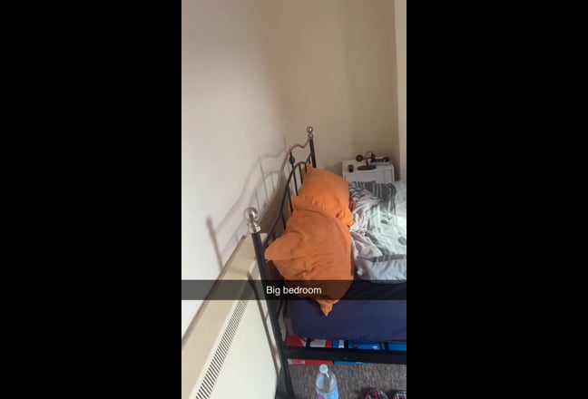 Large double room available in a 2 bed flat Main Photo