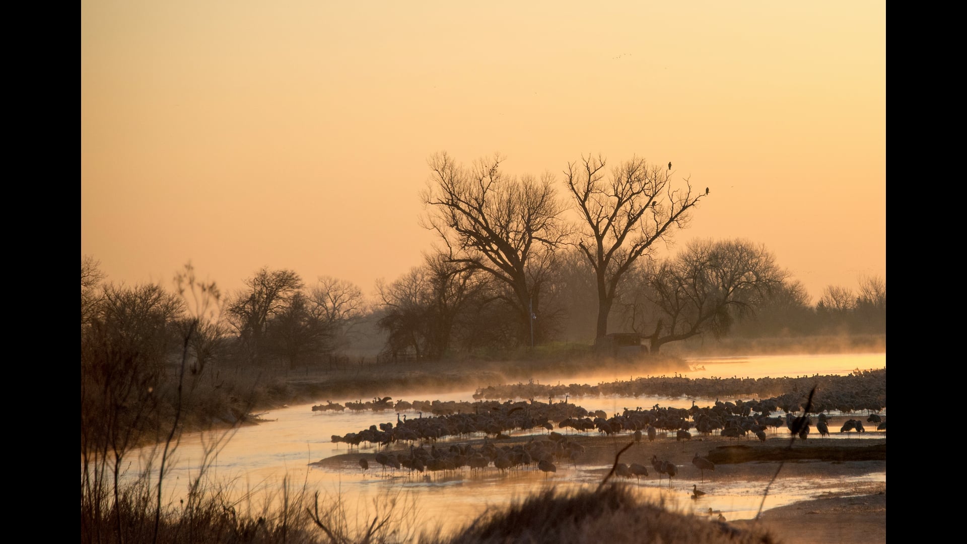 Taking Flight: Premiere Clip