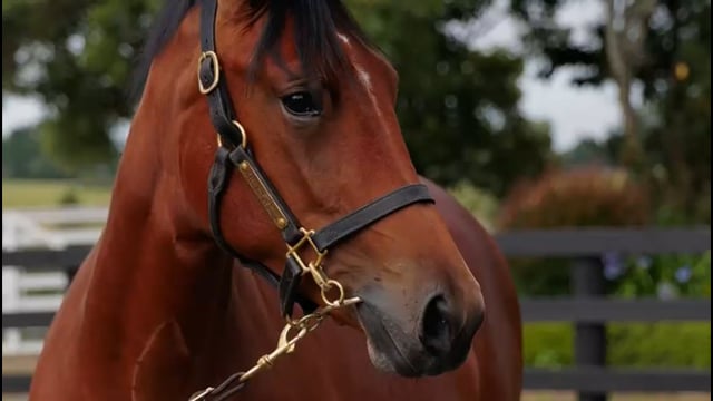 Lot 128