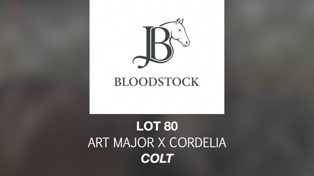 Lot 80