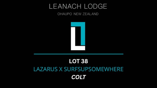 Lot 38