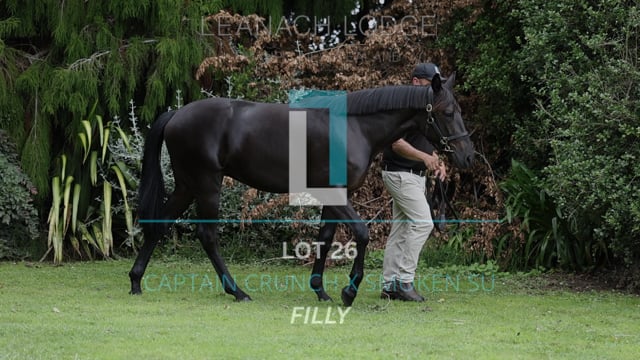 Lot 26