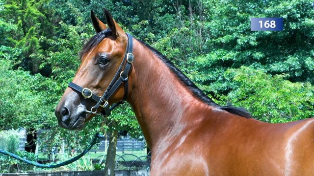 Lot 168