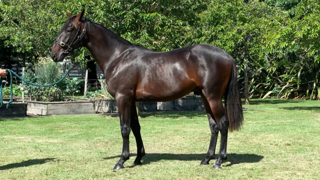 Lot 153