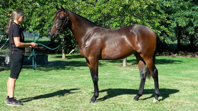 Lot 289