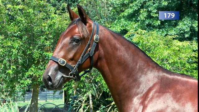 Lot 179