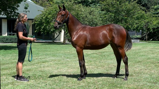 Lot 284