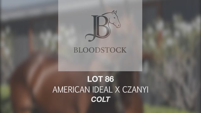 Lot 86