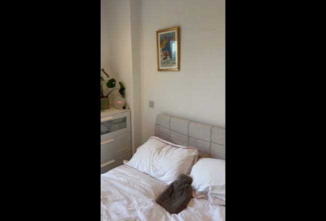 Double room in girly flat by northern line Main Photo