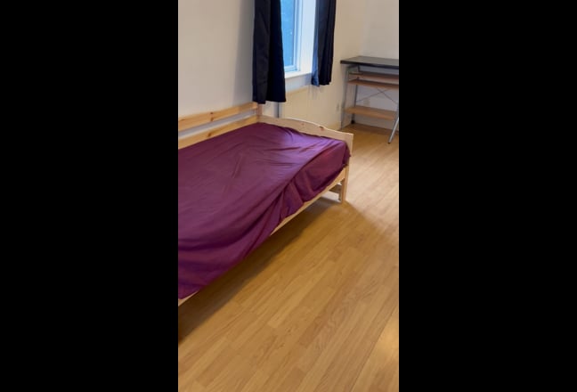 Large Studio + Pet friendly + Parking Main Photo