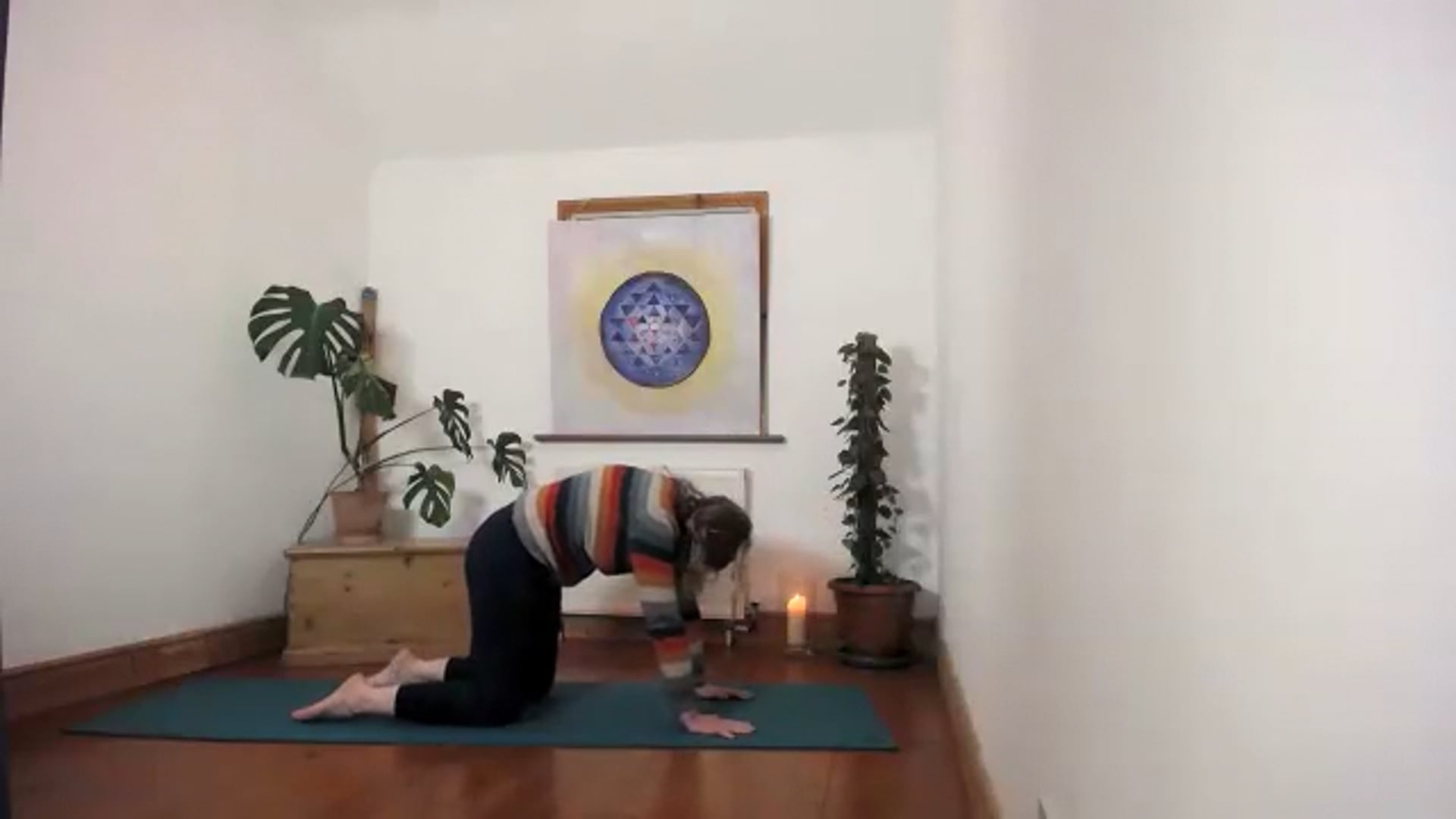 Multilevel wk 5 Cultivating Ease